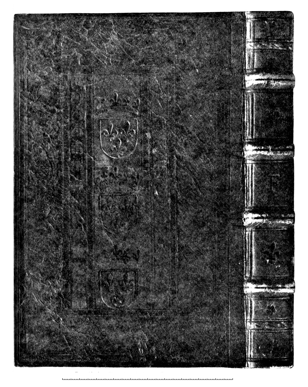 click on this image to see an enlargement