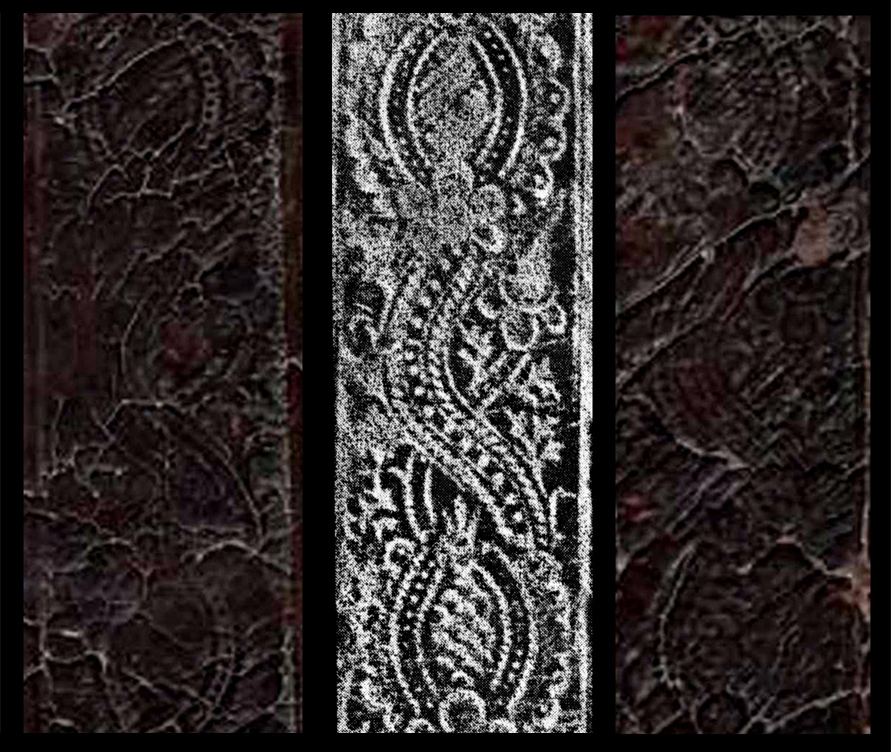 comparative diagram