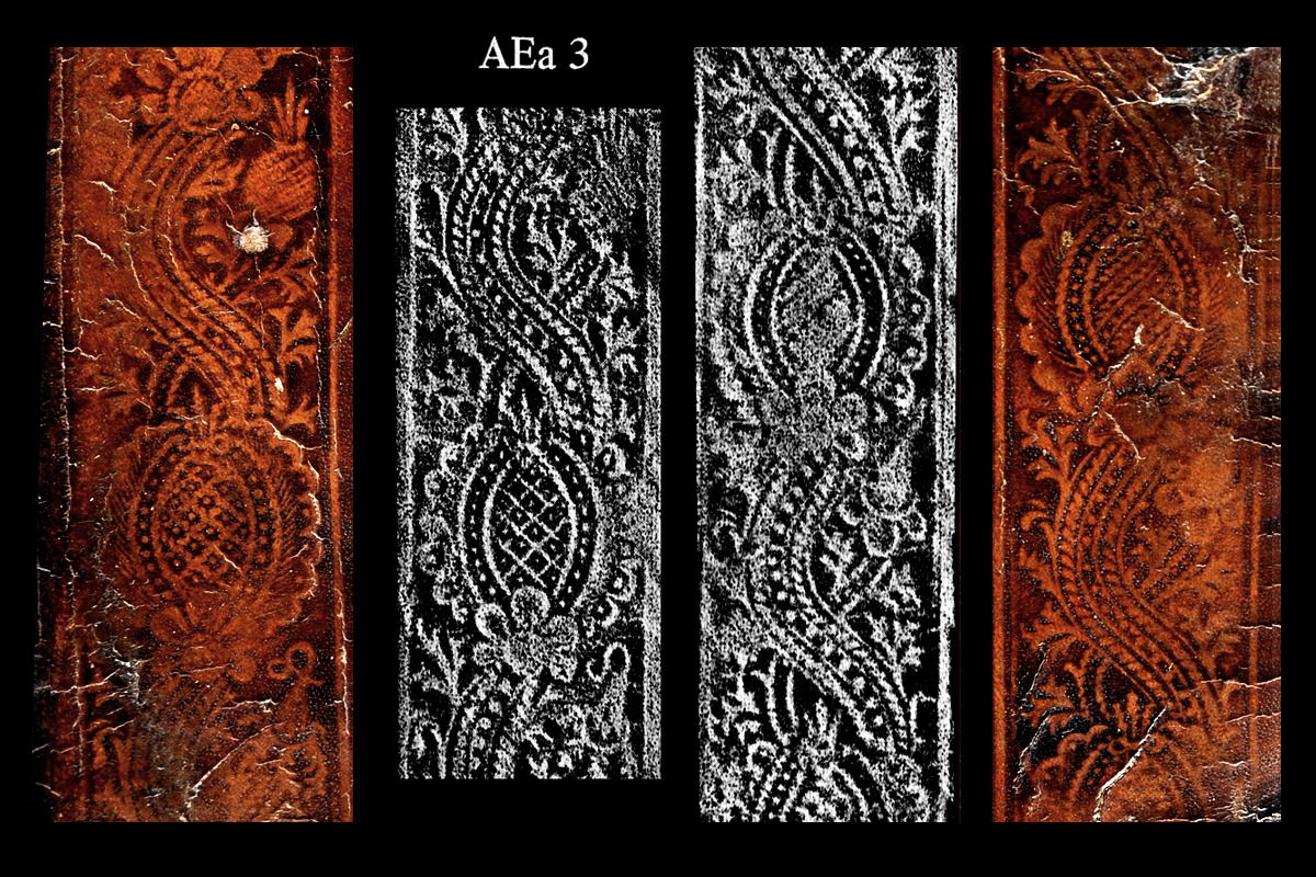AEa3 comparative diagram