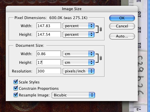 ruler size