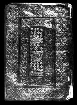 click on this image to see an enlargement