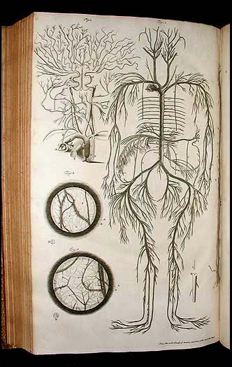 1708 plate-blood circulation system