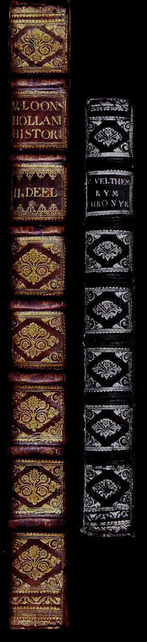 comparative diagram of the spines