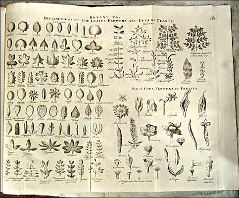 Chambers's Cyclopaedia 1741 plate