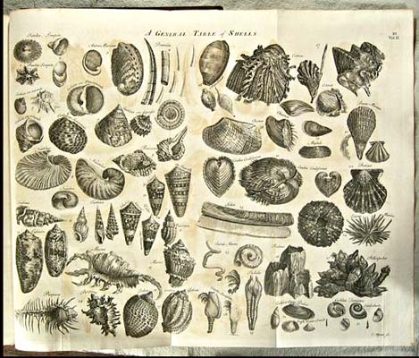 Chambers's Cyclopaedia 1741 plate