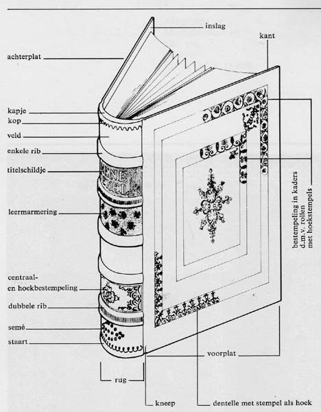 Diagram of terminology