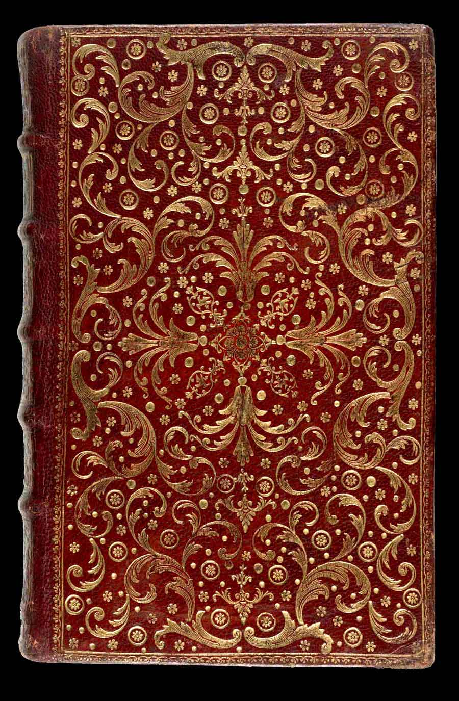 click to enlarge