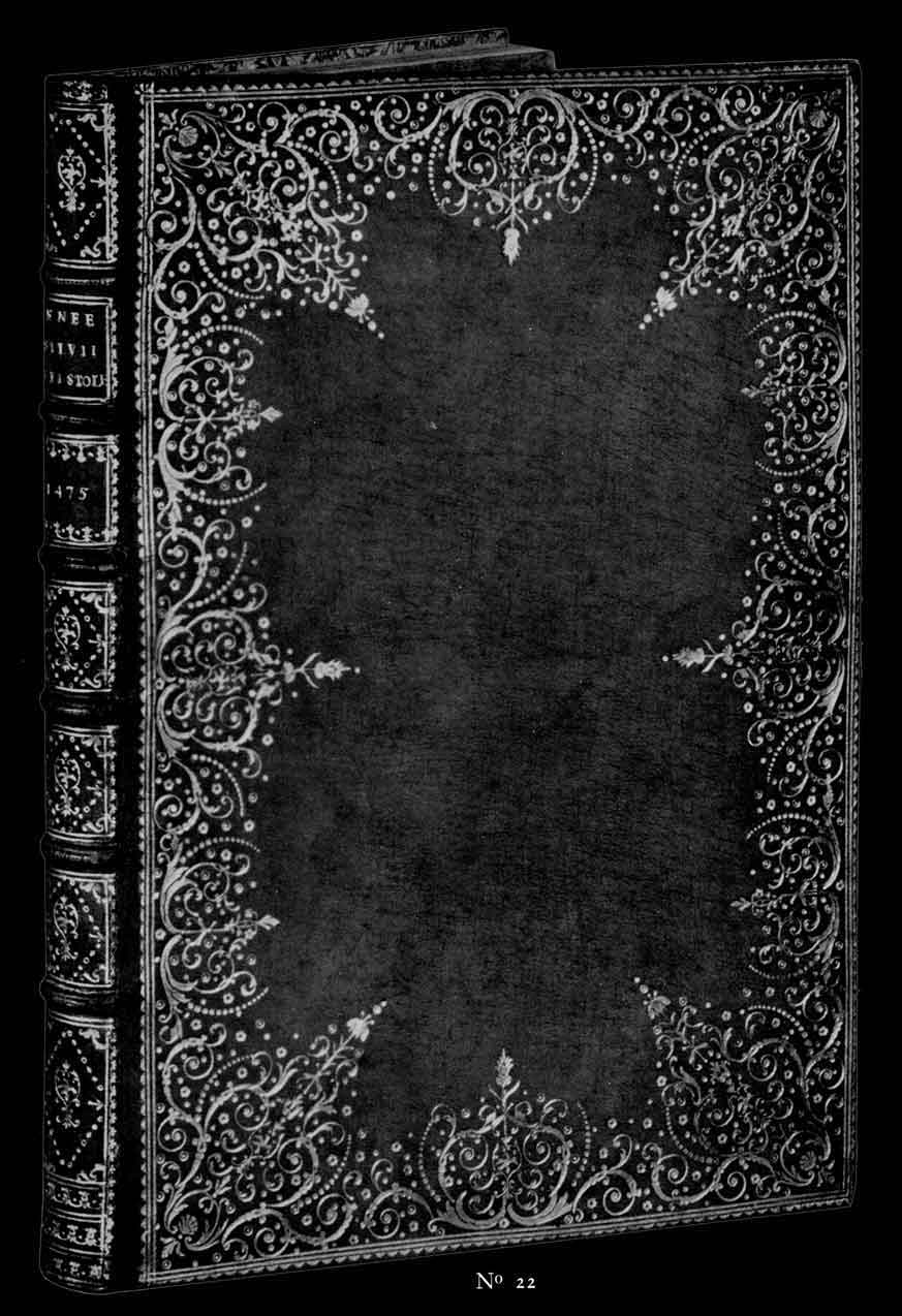 click to enlarge